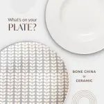 Bone China vs. Ceramic: Which One Is Better for Your Table?
