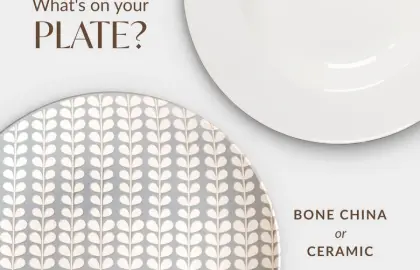 Bone China vs. Ceramic: Which One Is Better for Your Table?